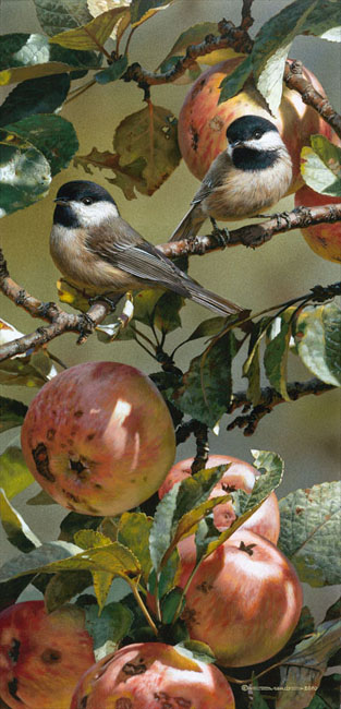 (image for) Handmade oil painting Copy paintings of famous artists Carl Brenders paintings Chickadee in Apple Tre